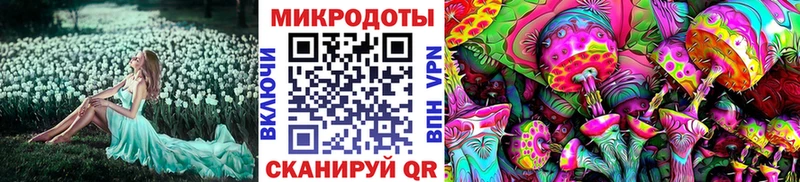 Галлюциногенные грибы мухоморы  купить наркотики сайты  Верея 