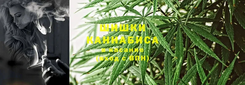 купить закладку  Верея  Бошки Шишки OG Kush 